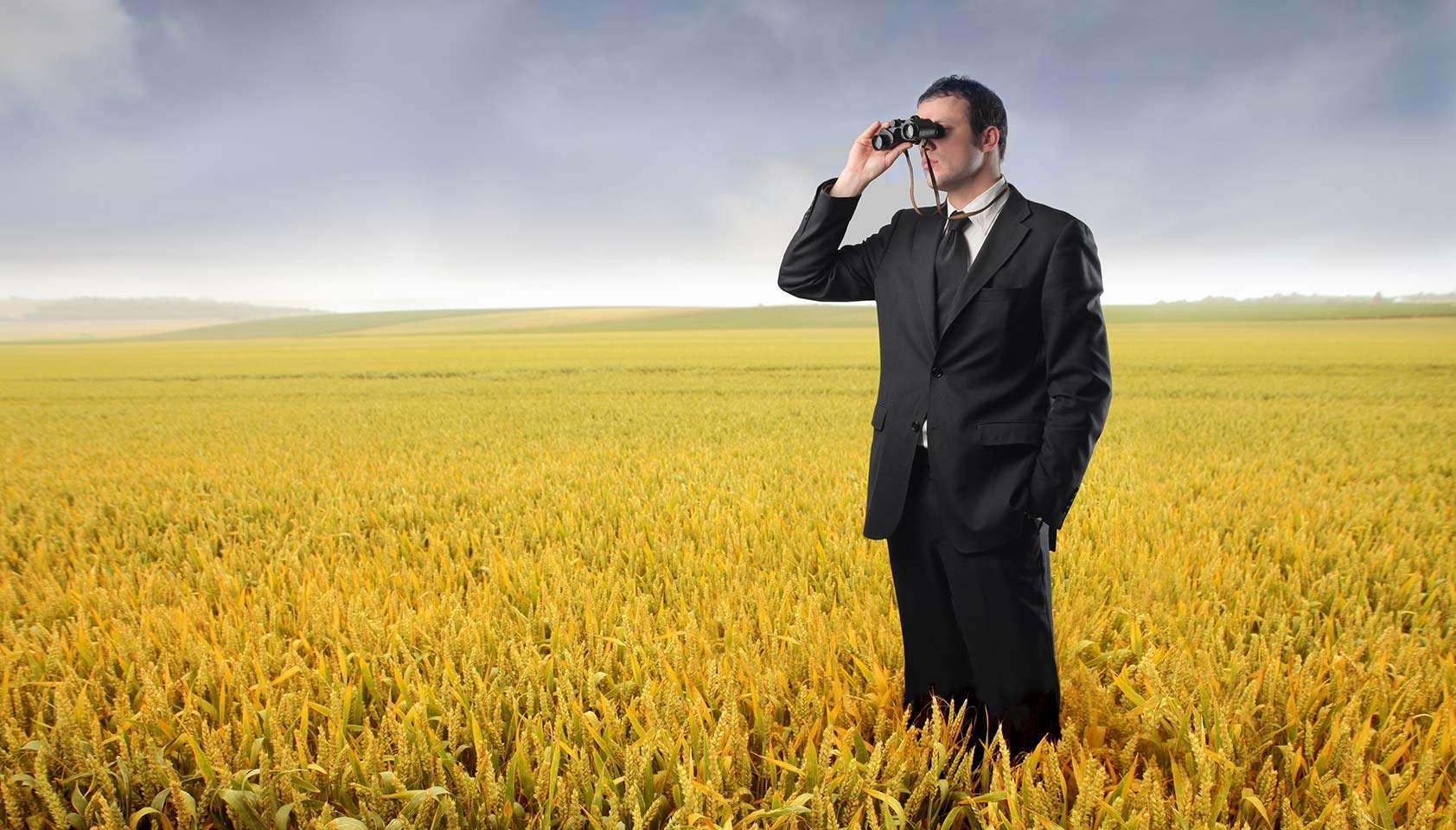 The SEO sanity check part 3: White hats always